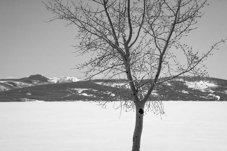 Strawberry Reservoir Utah in snow and black and white-min