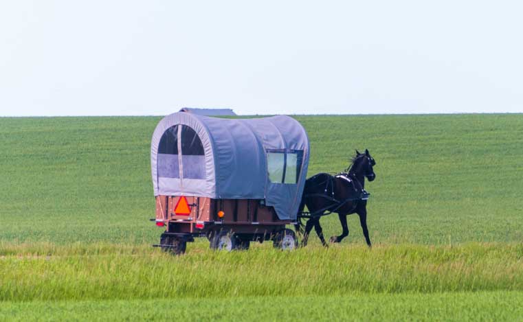 Amish buggy trotting down the road in central Montana-min