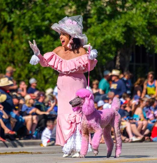 Pink poodle lady 4th of July parade Cody Wyoming-min