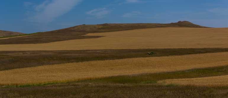 Hay fields in North Dakota-min