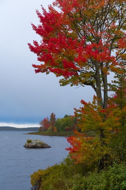 Fall foliage Worm Lake Michigan Upper Peninsula-min