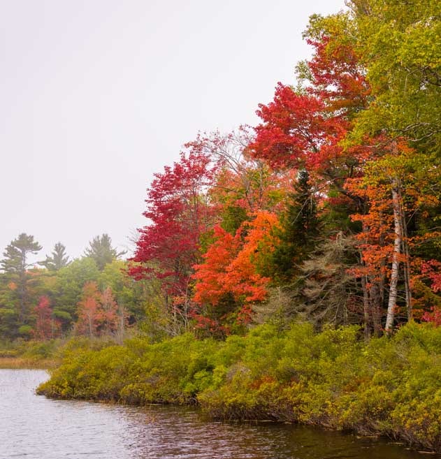 Fall foliage Michigan Upper Peninsula-min