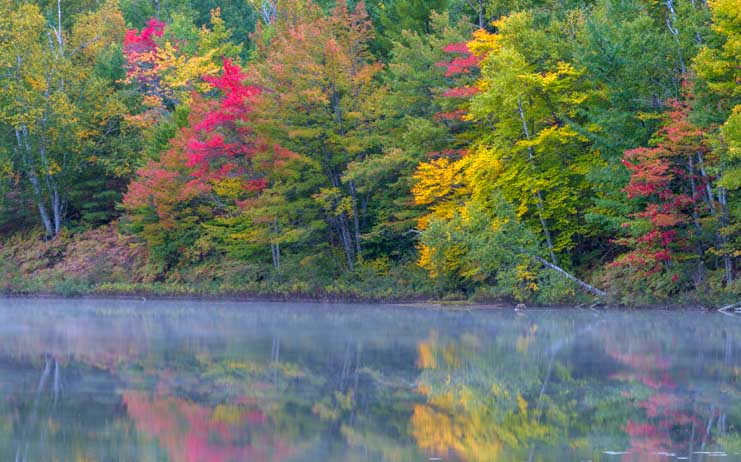 Autumn Hiawatha National Forest Michigan Upper Peninsula_-min
