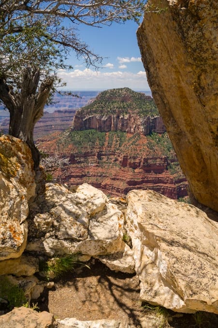 Grand Canyon framed by limestone-min