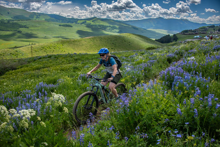 Mountain biker in wildflowers on Snodgrass Trail in Crested Butte Colorado
