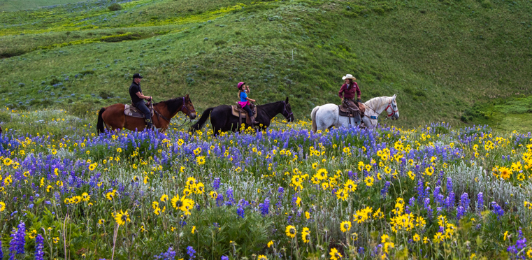 Horseback riders and wildflowers on Crested Butte Colorado Snodgrass Trail
