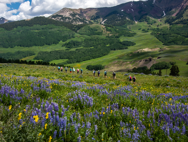 Hikers and wildflowers on Snodgrass Trail in Crested Butte Colorado
