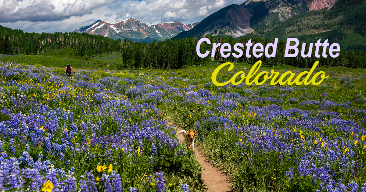 Crested Butte is the Wildflower Capital of Colorado!