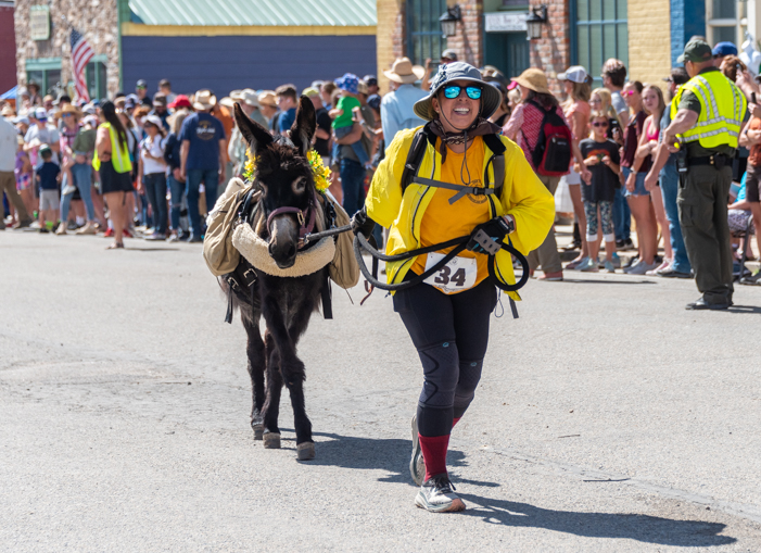 Burro Days shorter distance burro race in Fairplay Colorado