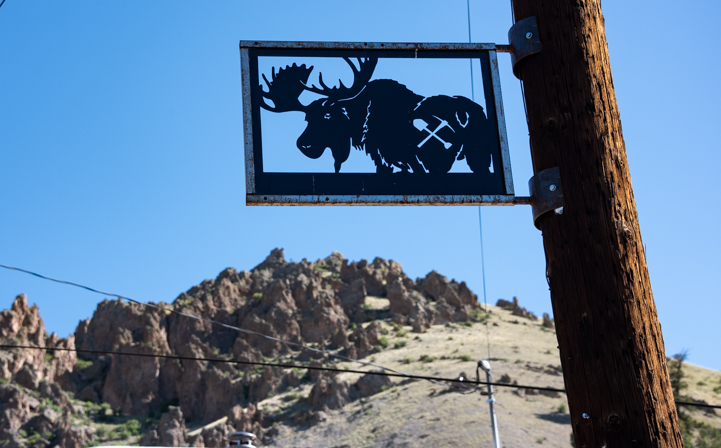 Moose and miners in Creede Colorado