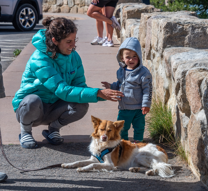 People and dog at Rocky Mountain National Park Colorado