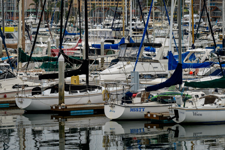 Lots of sailboats at Shelter Island San Diego California