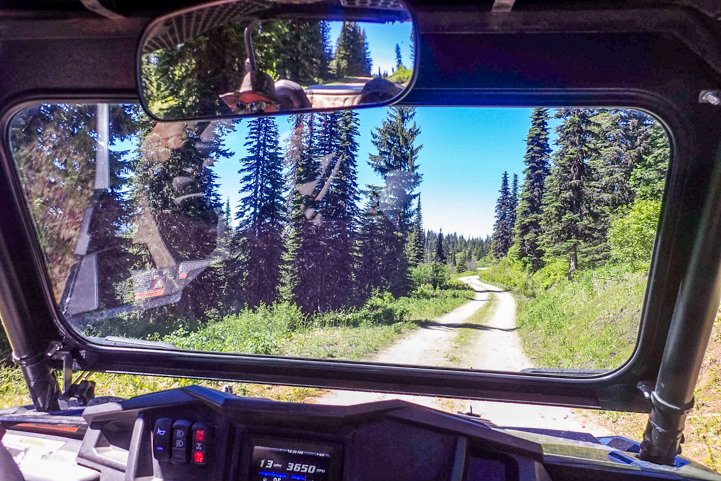 Forest road view from a Polaris RZR