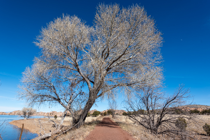 Peevine Trail Prescott Arizona in The Dells