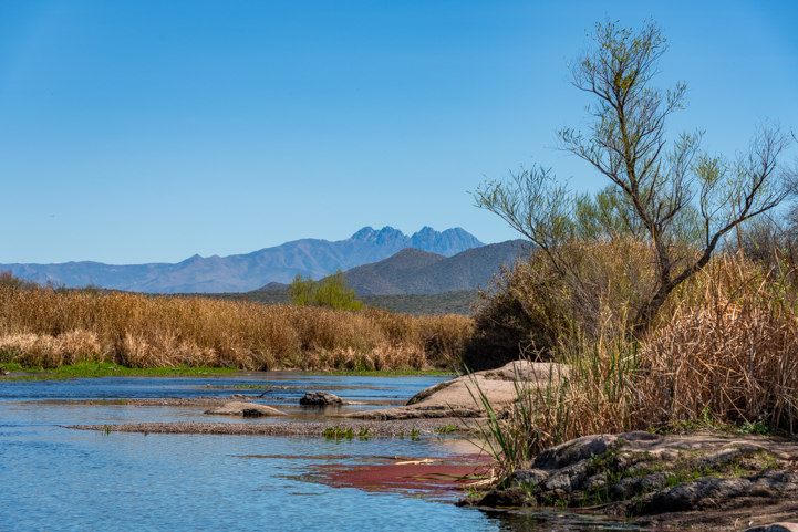 Salt River at Phon D Sutton in the Lower Salt River Recreation Area in Arizona
