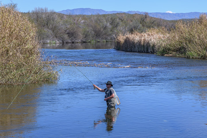 Fishing in the Lower Salt River Arizona