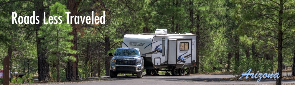 Forest River Alpha Wolf 17CB travel trailer with Toyota Tundra in the woods-2
