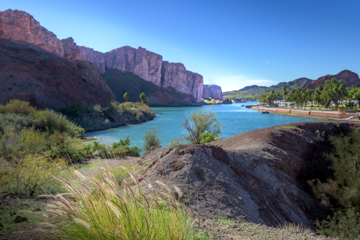 Colorado River at Buckskin Mountain State Park