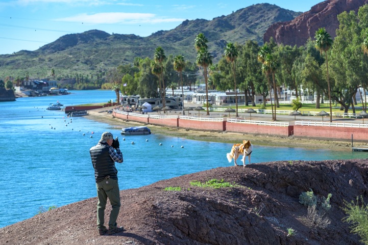 Dog model on the Colorado River Arizona