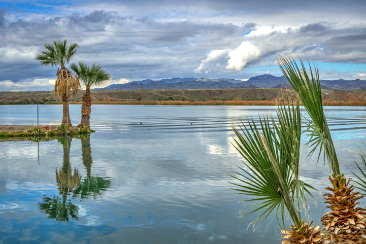Palm trees and storm clouds on the Colorado River in Parker Arizona