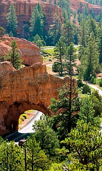 Tunnel Trail in Red Canyon, Utah.